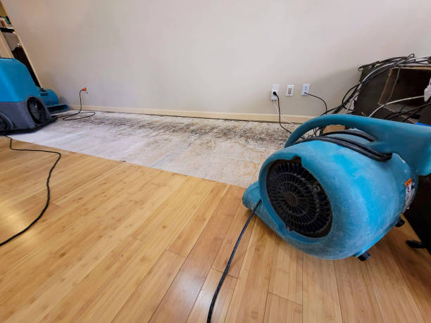 Professional Structural Drying technician working in Lakewood, WI